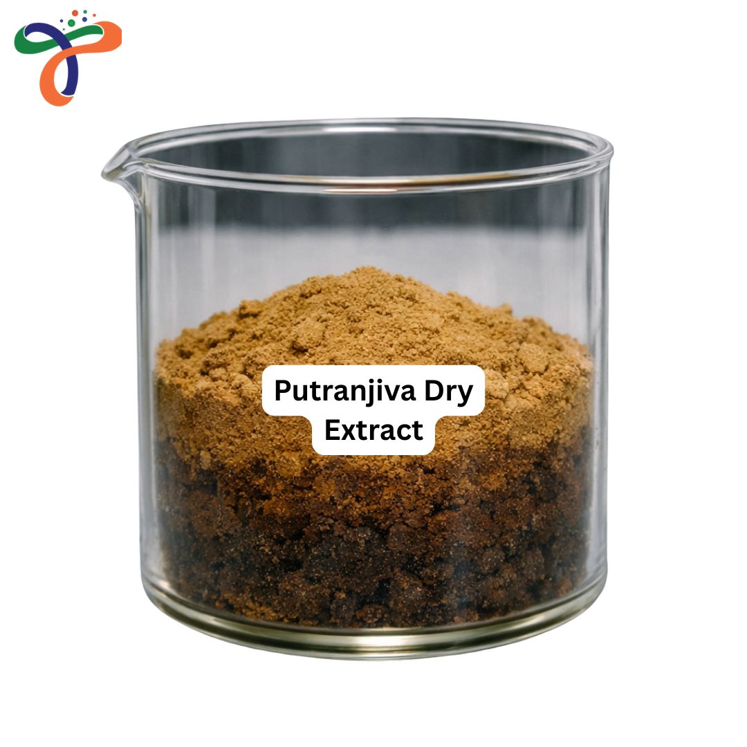 Putranjiva Dry Extract